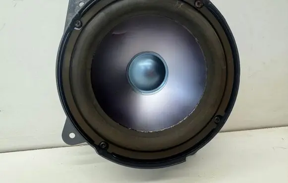 Mercedes-Benz S AMG W221 Rear door speaker A2218203702