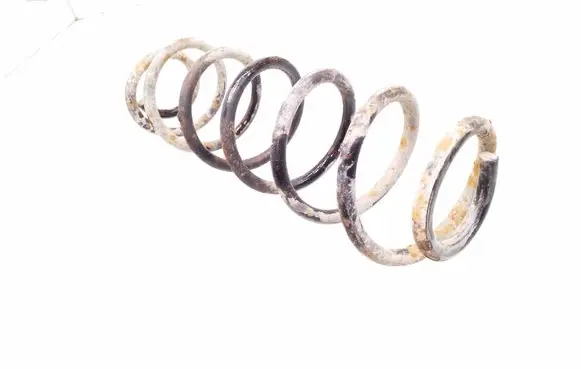 Rear coil spring
