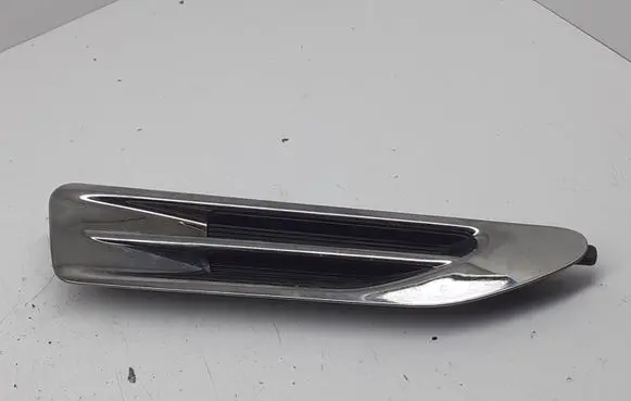 Fender trim (molding)