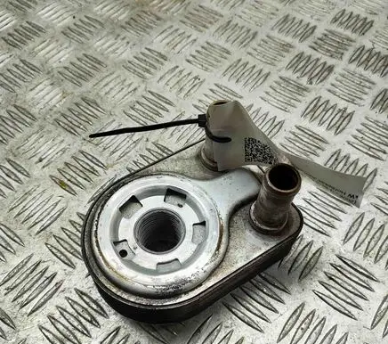 Ford Fiesta Engine oil radiator CM5G6B856FA