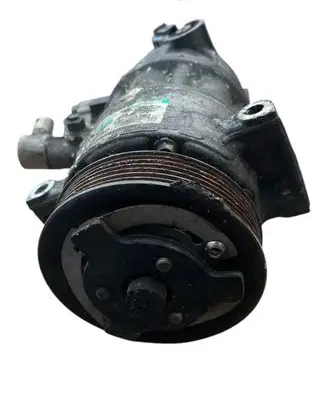 Skoda Octavia Mk2 (1Z) Air conditioning (A/C) compressor (pump) 5N0820803