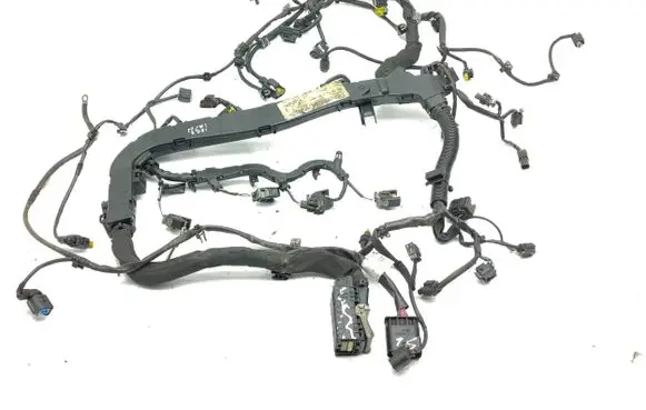 Engine installation wiring loom