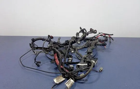 Volvo V40 Other wiring loom 31394796