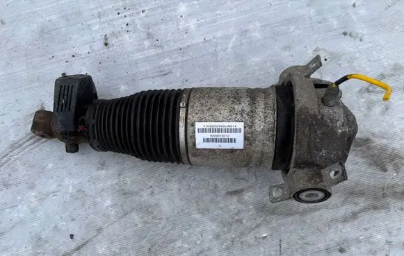 Porsche Cayenne (92A) Rear shock absorber/damper 7L5512022G