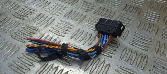 BMW Z4 E89 Other wiring loom 137813805