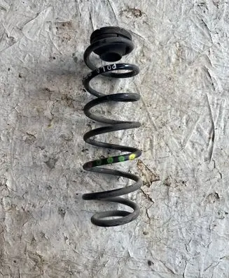 Rear coil spring