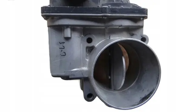 Nissan Navara D40 Throttle valve H8200578558