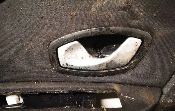 Renault Scenic III - Grand scenic III Front door interior handle 826730001r