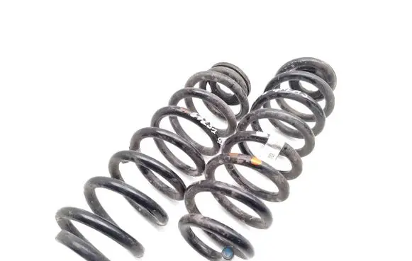 Rear coil spring