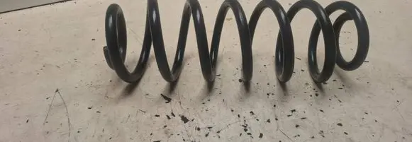 Rear coil spring