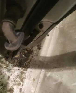 KIA Ceed Rear door check strap stopper 