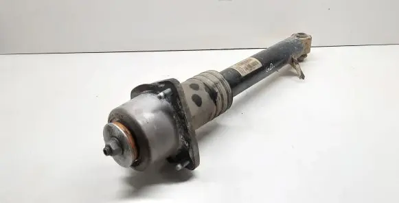 BMW X5 E70 Rear shock absorber/damper 6781928