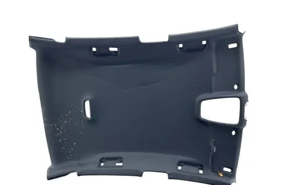 Audi A4 S4 B9 Headlining 8W5867506Q 1824101356 A047297