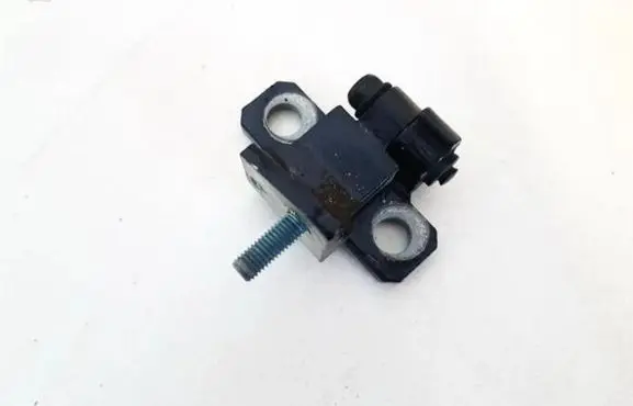 Volkswagen Phaeton Rear door lower hinge 3D4833402