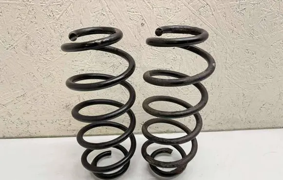 Rear coil spring