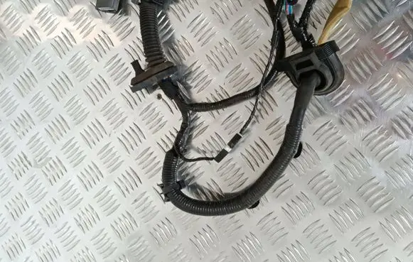 Nissan Murano Z51 Front door wiring loom/harness boot 