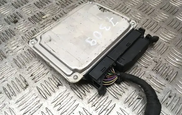 Skoda Octavia Mk2 (1Z) Engine control unit/module 036906032BF 1039S13347 18240069