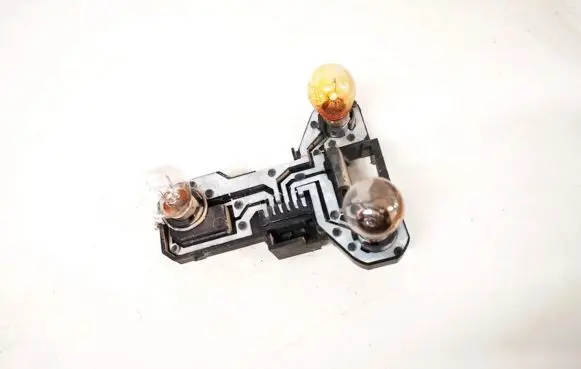 Renault Scenic I Tail light bulb cover holder