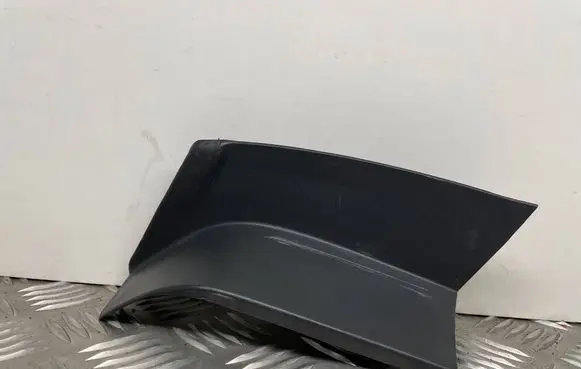 Rear/tail light trim molding