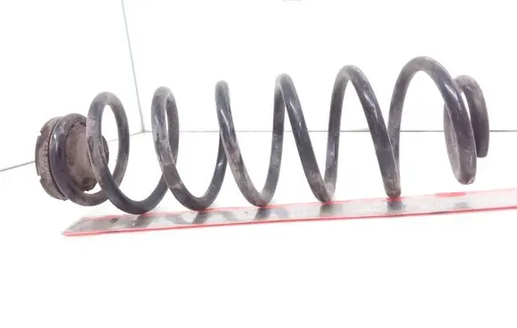 Skoda Rapid (NH) Rear coil spring