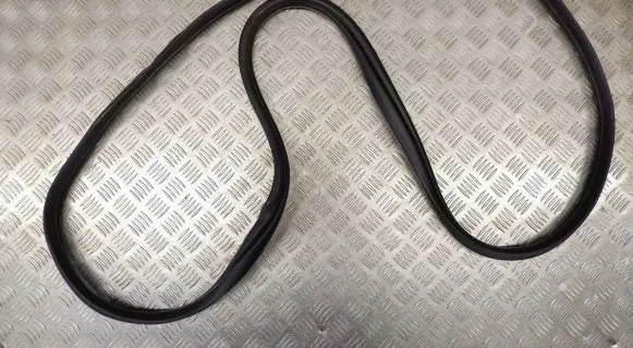 Hyundai Ioniq 5 Rubber seal rear door 