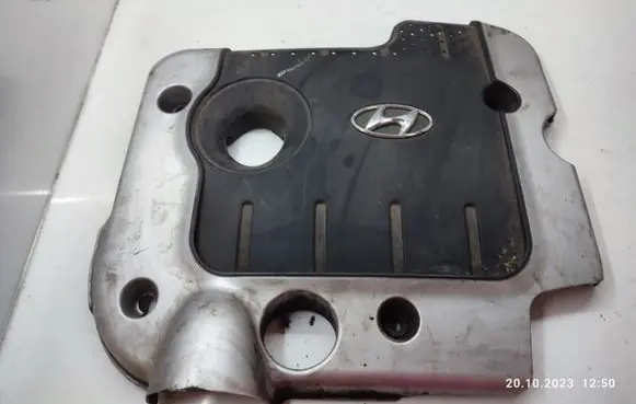 Hyundai Santa Fe Engine cover (trim)