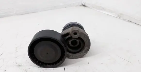 Dacia Dokker Generator/alternator belt tensioner 117501113R