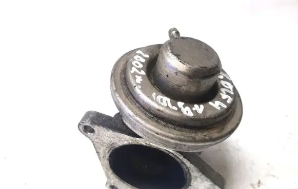 Volkswagen Golf IV EGR valve 038131501S