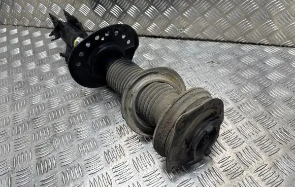 Nissan Qashqai Front shock absorber/damper 54302BR04A 19942 824903008004
