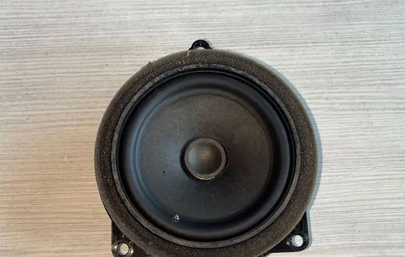 BMW X3 G01 Subwoofer speaker 18820010