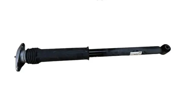 Chevrolet Bolt Rear shock absorber/damper 42547084 688444822 2002020300000X