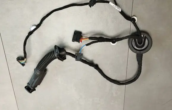 Cupra Formentor Rear door wiring loom 5FA971161F 74699245