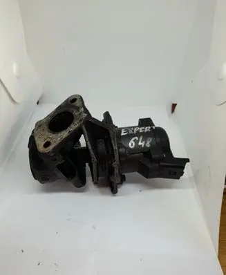 Peugeot Expert EGR valve 216046799 EN48000