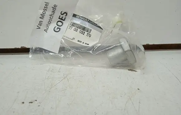Renault Captur II Front suspension camber bolt 7703032179