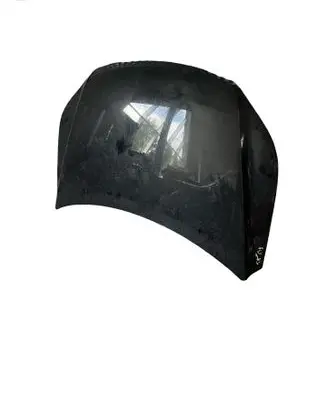Volkswagen Tiguan Engine bonnet/hood 5N0823155A