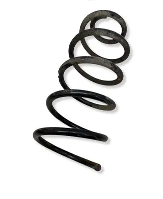 Smart ForTwo I Rear coil spring 