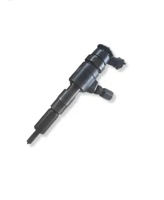 Peugeot 1007 Fuel injector 0445110252