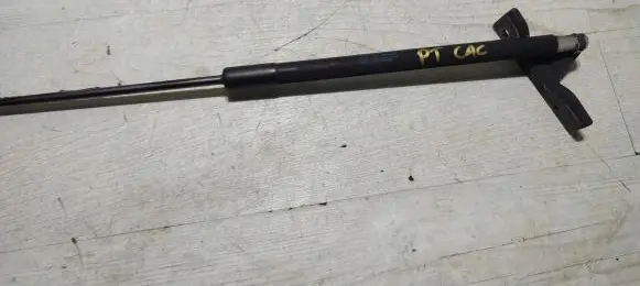 Citroen C4 Cactus Tailgate/trunk strut/damper 9813913880