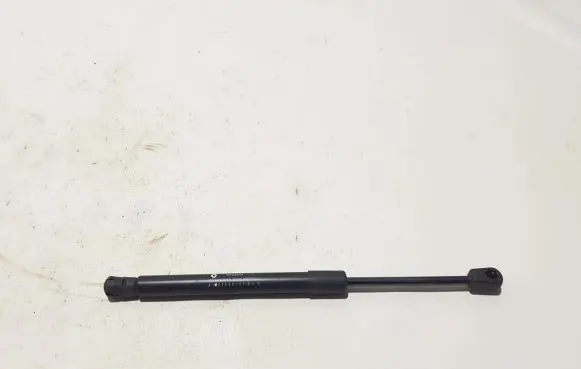 Tailgate strut