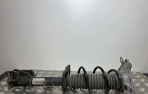 Fiat 500X Rear shock absorber with coil spring 00520490580