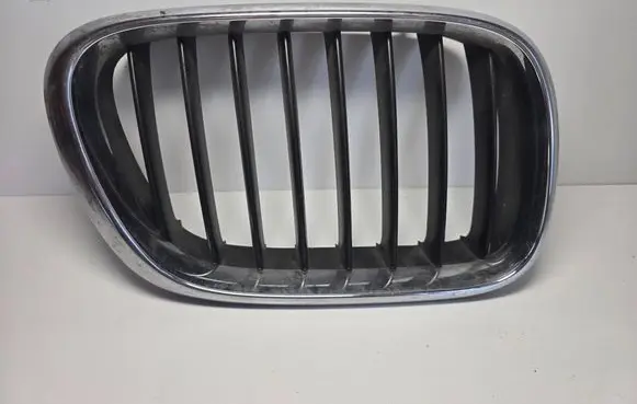 BMW X5 E53 Front grill 51138247674