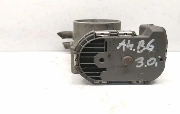 Throttle body valve