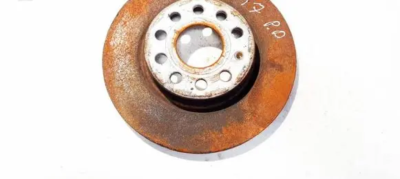 Volkswagen Golf Plus Front brake disc ventiliuojamas