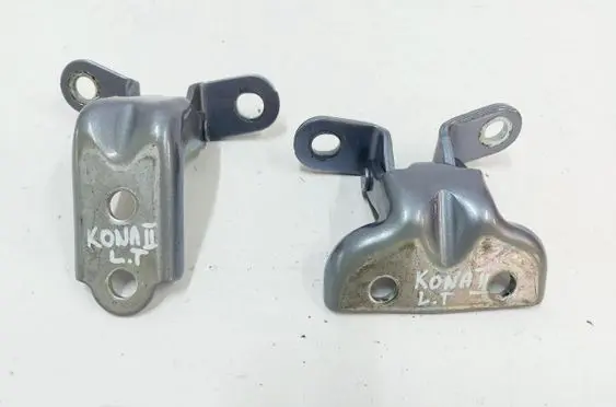 Hyundai Kona II Rear door hinge set