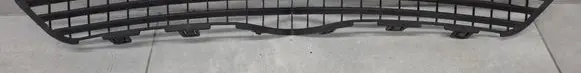 Tesla Model X Front grill 105014300E