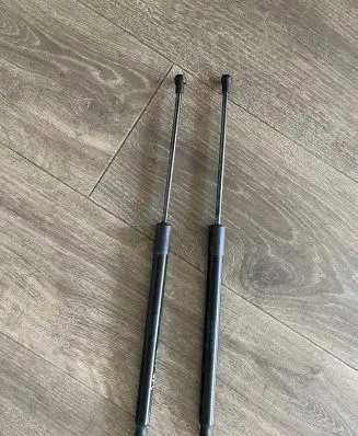 Tailgate/trunk strut/damper