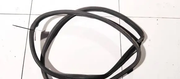 Peugeot 406 Rubber seal front coupe door 