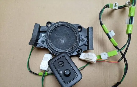 Rear door speaker