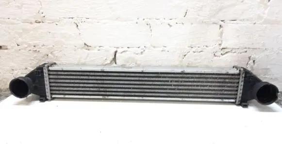 Mercedes-Benz B W245 Intercooler radiator A1695000000