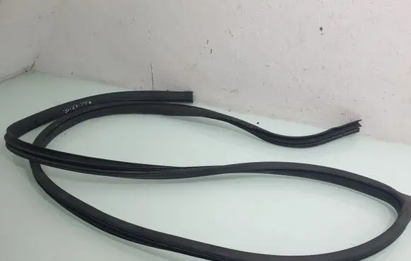 Dodge Grand Caravan Front door rubber seal 